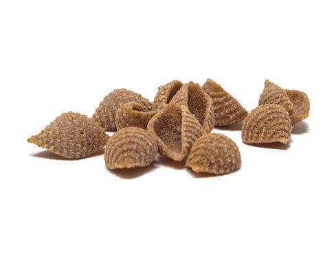 Box 6 pz di Pasta artigianale "Conchiglie Integrali" trafilata al bronzo di grano antico Russello, 500 gr - Sicilus Srl