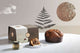 Kávové panettone Fiasconaro Oro Nero