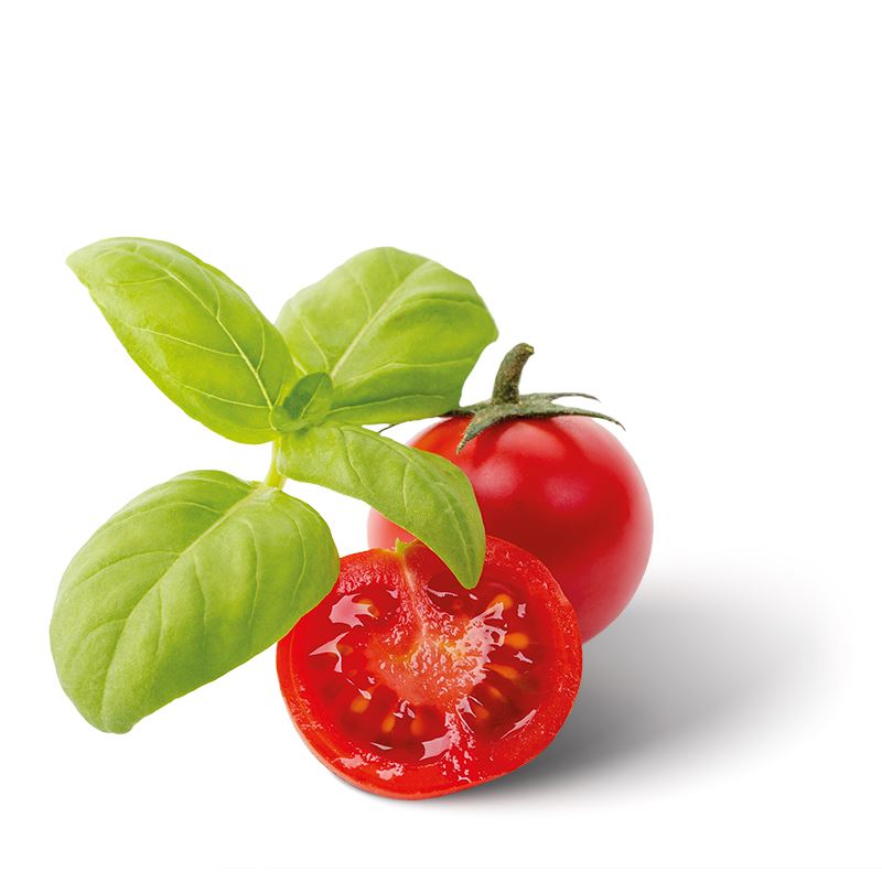 Pomodoro ciliegino, ingrediente del Pesto alla Trapanese Salemi Pina