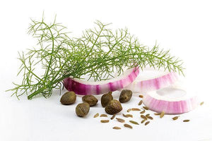 Ingredienti del Sugo alla Palermitana biologico Salemi Pina